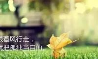 关于牛年祝福语简短的【图】