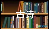 关于古诗的作文300字【借鉴】