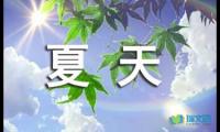 关于夏天的句子摘抄【参考】