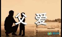 关于父爱的优美语段摘抄【参考】