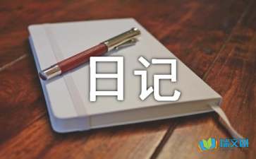 社会实践活动日记400字