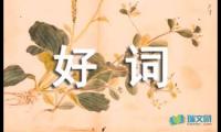 关于作文的好词好句摘抄【参考】