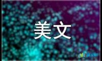 关于纵使情深，奈何缘浅美文【借鉴】