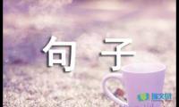 关于有哲理的小说句子摘抄【参考】