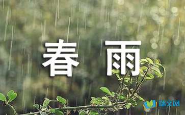 有关春二年级春雨作文300字合集10篇