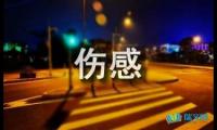 关于伤感的句子摘抄【参考】