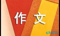 关于小学大年初一作文400字【借鉴】