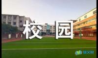 关于快乐足球激情校园五年级作文【借鉴】