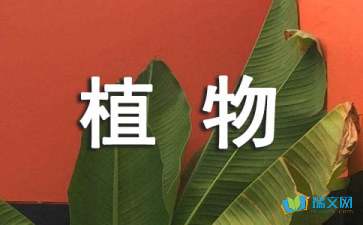 观察动植物的学生日记