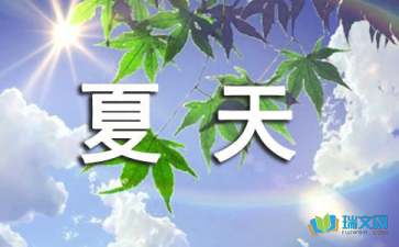 有关夏天一年级作文400字合集8篇