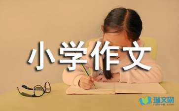 大年初一小学作文400字