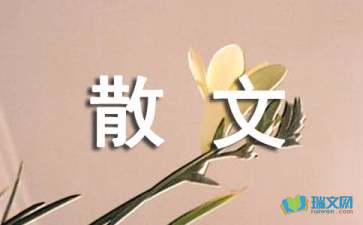 “明天”的我们散文随笔