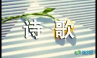 关于平静的答案随笔诗歌【借鉴】