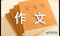 关于初三随想作文550字【借鉴】