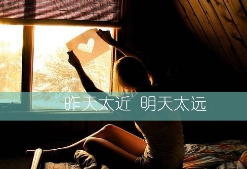 品茶的精美句子大全/关于原创的精美句子摘抄语录