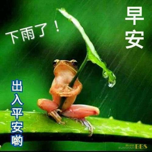 关于雨天早上好的问候短信图