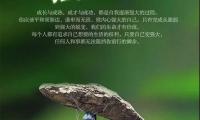 关于人生感悟的句子 励志【图】