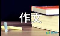 关于九年级作文500字【借鉴】