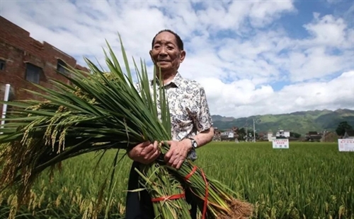 重温袁隆平院士的经典名言