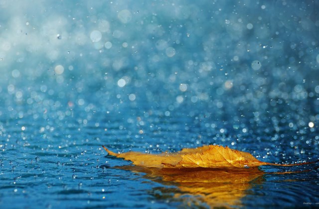 雨天深夜失眠的心情说说文案 适合下雨的夜晚发朋友圈的句子