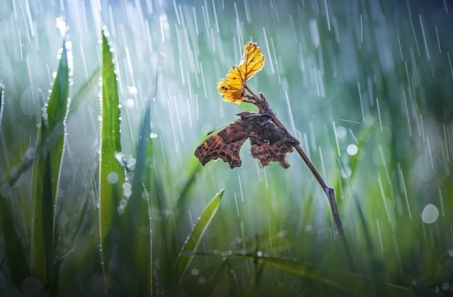 适合下雨天发的朋友圈说说 下雨了没带伞的句子