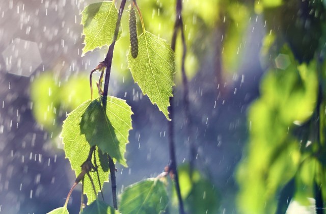 深夜听雨声入睡的心情说说 适合雨夜发朋友圈的句子