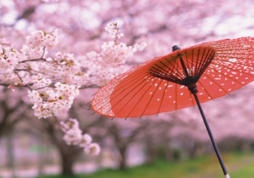 今日芒种说说 芒种发朋友圈的句子