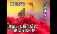 关于简短早上好的群发早安祝福语【图】