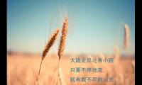 关于最能打动人心的励志句子【图】