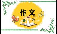 多点读书随笔作文800字5篇