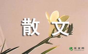 生命抒情散文