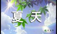 关于爱夏天作文汇编8篇