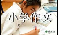 多功能机器人小学作文2篇