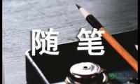 精选初中随笔作文300字10篇