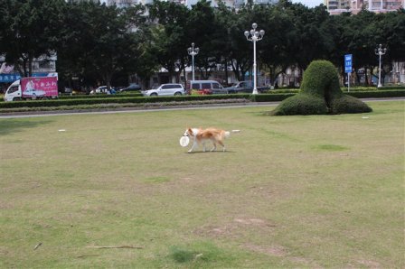 伤感的说说句子心情