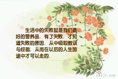 关于生活的美丽句子摘要