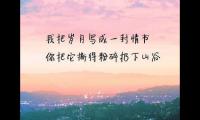 关于情感扎心伤感语录【图】