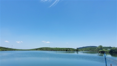 夏天温柔到爆的神仙文案