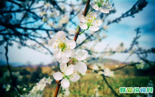 觉得日子没盼头的说说