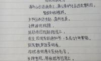 关于优美文章摘抄800字大全