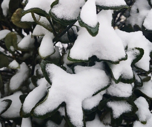 化雪的朋友圈心情说说 下雪又化雪的说说