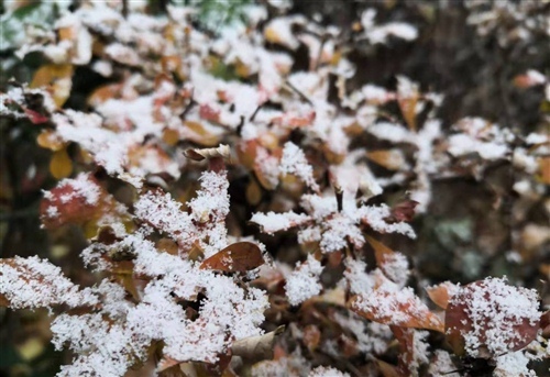 适合晚上下雪发的朋友圈说说