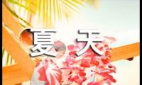 关于爱夏天作文锦集五篇