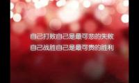 关于受了挫折励志的句子【精选14句】大全