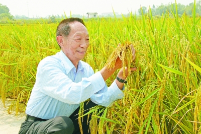 袁隆平的励志名言名句