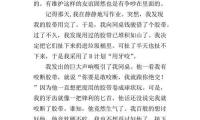 关于一句名言给我的启示450字大全