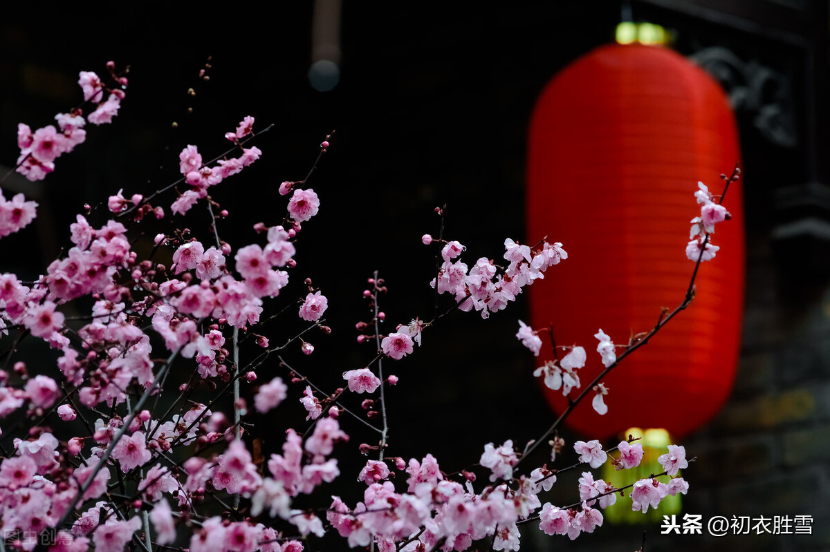 新年新春祝福诗词五首，人心新岁月，春意旧乾坤