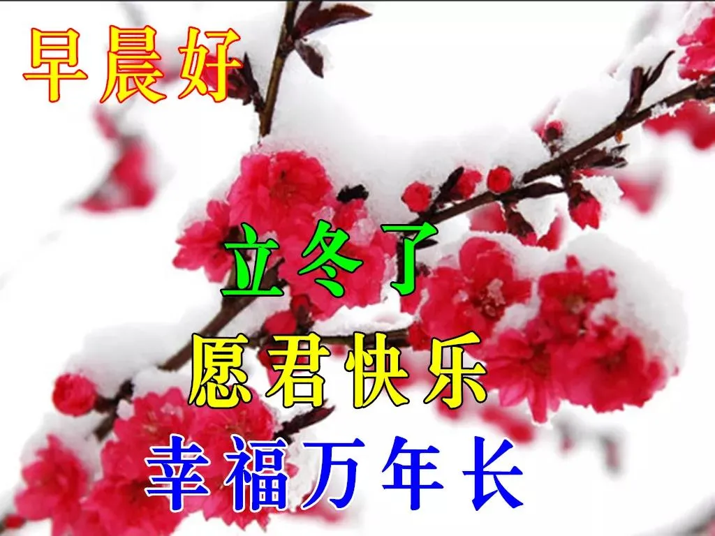 立冬快乐问候祝福语动画表情包图片 立冬祝福语大全简短句子