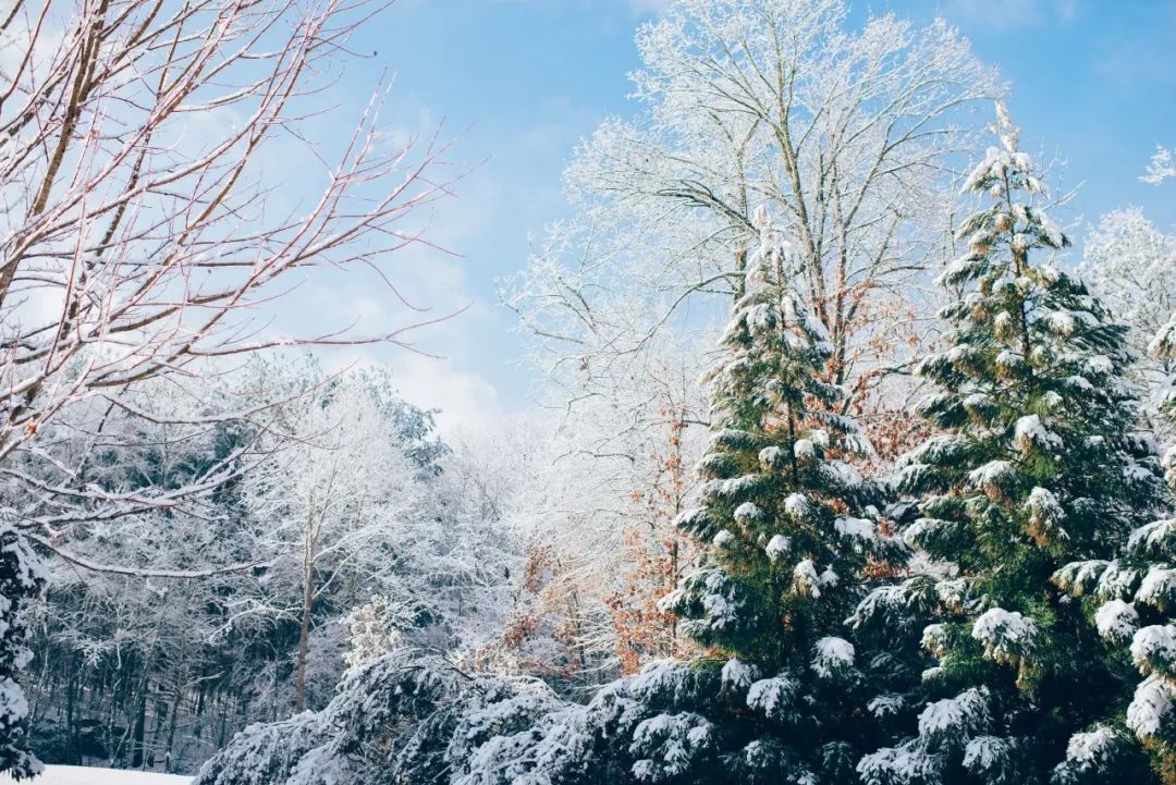 下雪啦！不读这20句诗词，你就不知道雪有多美