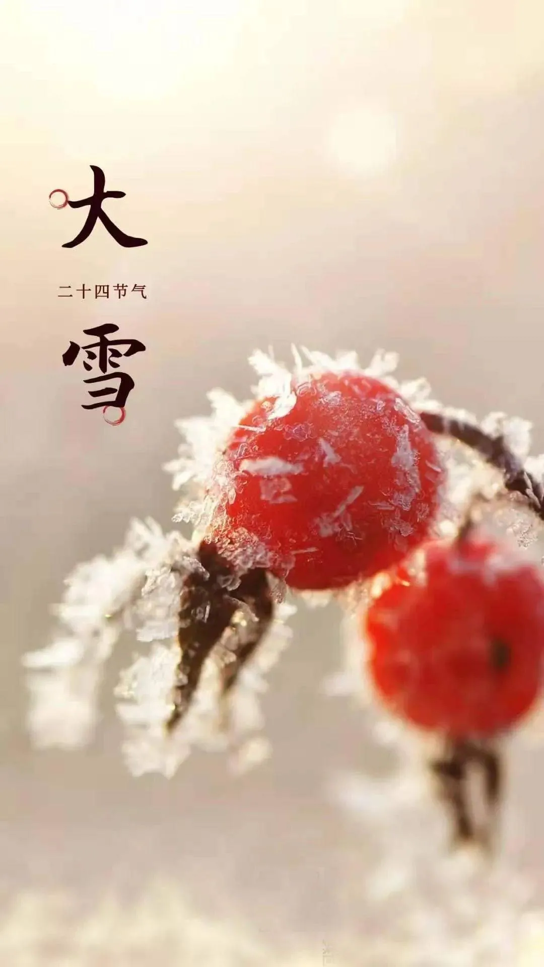 早晨安好：大雪节气到，祝你身暖如夏，心笑如花，早晨好